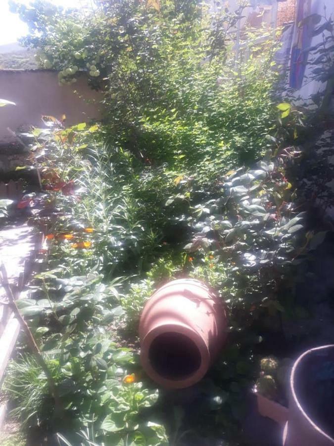 Guest House Sveti Mtsʼkhetʼa エクステリア 写真