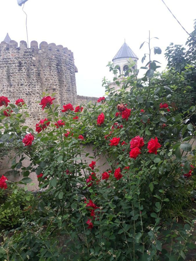 Guest House Sveti Mtsʼkhetʼa エクステリア 写真